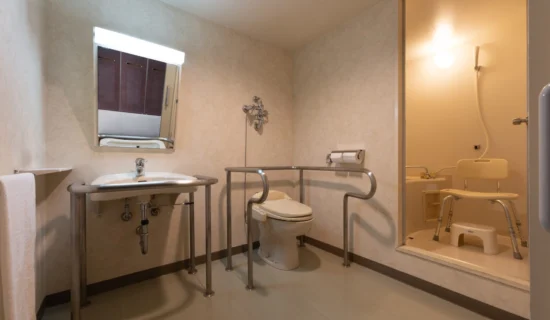 클래식 액세서블츠인 레이크뷰