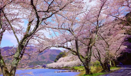 フォトギャラリーイメージ｜グランドメルキュール琵琶湖リゾート＆スパ