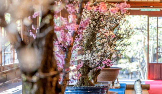 フォトギャラリーイメージ｜グランドメルキュール琵琶湖リゾート＆スパ