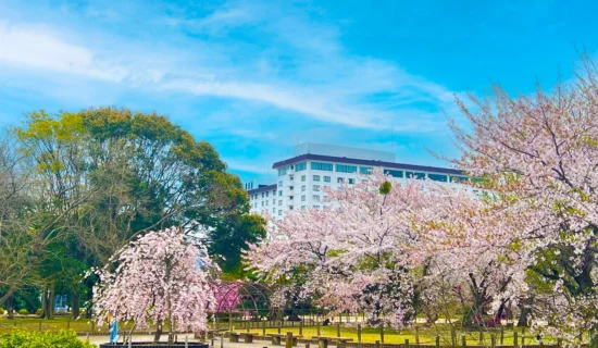 フォトギャラリーイメージ｜グランドメルキュール琵琶湖リゾート＆スパ