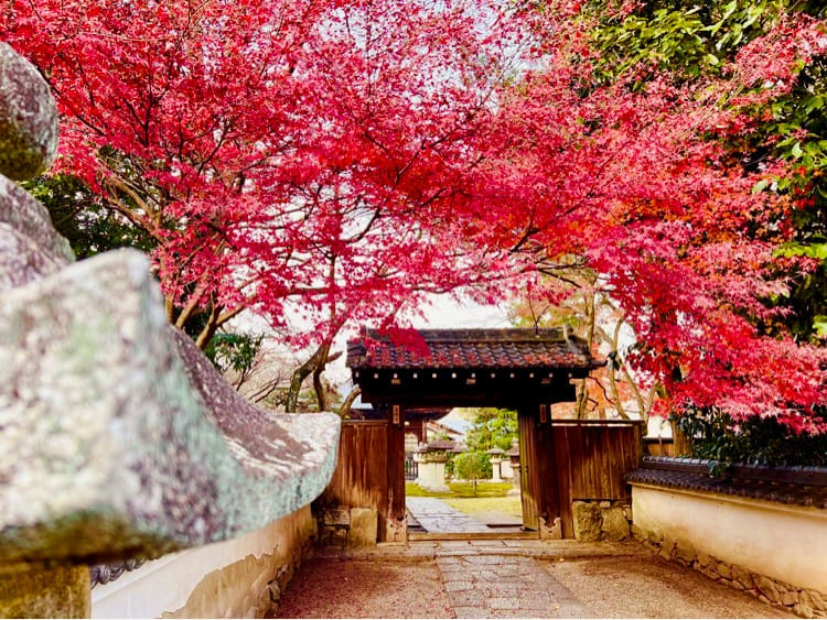 ベルトラランキング｜グランドメルキュール琵琶湖リゾート＆スパ