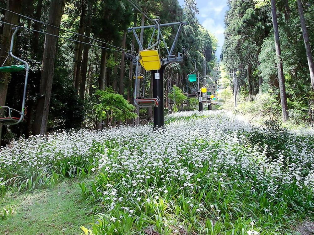 대하드라마 히데요시 형제 그랜드 머큐어 비와코 리조트 & 스파